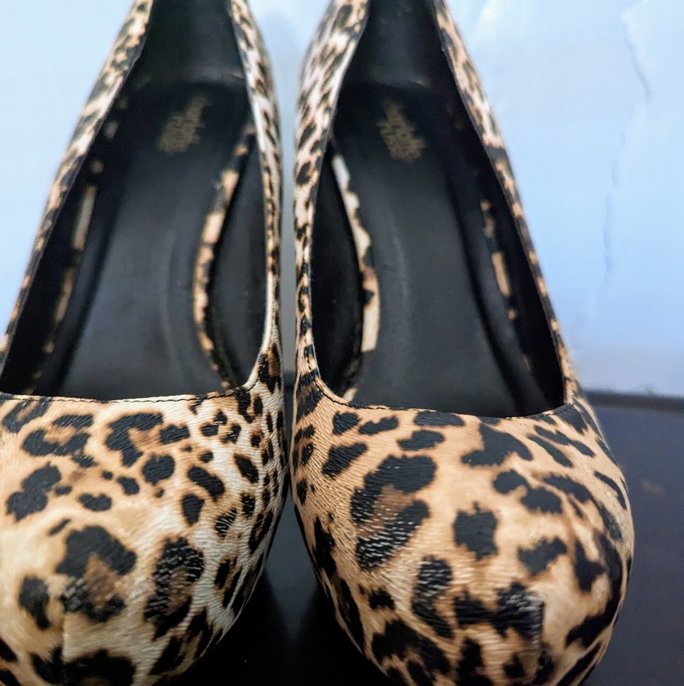 Charlotte russe